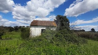 Land for sale in Torres Novas, Portugal — €67,000