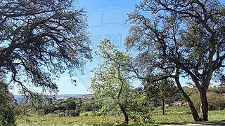 Land for sale in Mafra, Portugal — €115,000