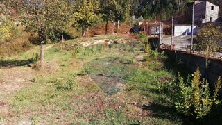Land for sale in Pombal, Portugal — €25,000