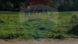 Land for sale in Ansião, Portugal — €38,000