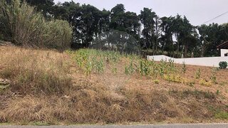Terreno para venda em Óbidos, Portugal — 49 500 €