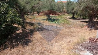 Land for sale in Gavião, Portugal — €35,000