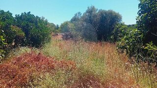 Land for sale in Silves, Portugal — €23,000