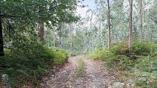Land for sale in Barcelos, Portugal — €36,000