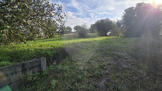 Land for sale in Torres Novas, Portugal — €70,000