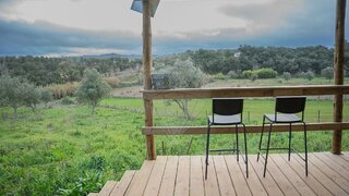 Terreno em Santiago do Cacém · 12 000 m² · 174 000 €