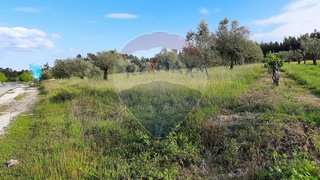 Terreno para venda em Pombal, Portugal — 935 000 €