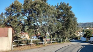 Land for sale in Paredes, Portugal — €60,000