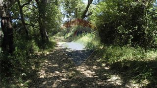 Land for sale in Tomar, Portugal — €26,000