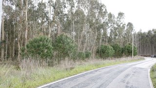 Land for sale in Montemor-o-Velho, Portugal — €19,000