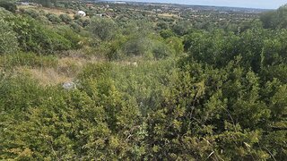 Land for sale in Torres Novas, Portugal — €4,000