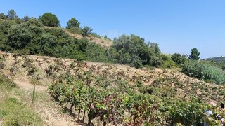 Land for sale in Torres Vedras, Portugal — €425,000