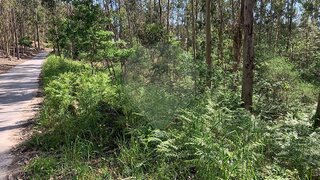 Land for sale in Lousada, Portugal — €85,000
