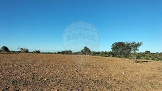 Land for sale in Arraiolos, Portugal — €42,000