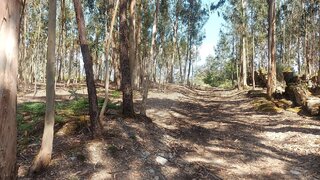 Land for sale in Penafiel, Portugal — €65,000