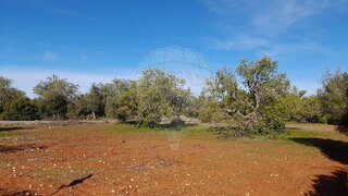 Land for sale in Loulé, Portugal — €50,000