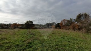 Terreno em Penamacor