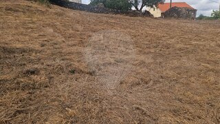 Land for sale in Vila de Rei, Portugal — €18,700