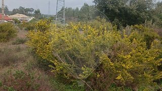 Terreno em Sesimbra