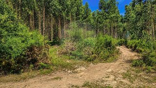 Land for sale in Barcelos, Portugal — €75,000