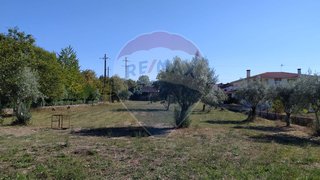 Land for sale in Tondela, Portugal — €35,000
