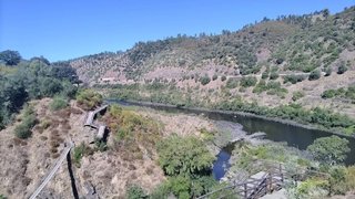 Terreno em Nisa · 6750 m² · 16 000 €