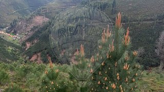 Land for sale in Arganil, Portugal — €18,000