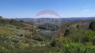 Terreno de 5500 m² em Bragança