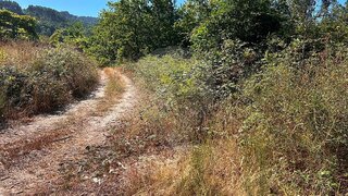 Land for sale in Ponte de Lima, Portugal — €9,000