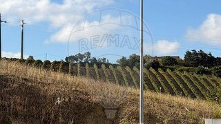 Terreno em Arruda dos Vinhos · 959 m² · 195 000 €