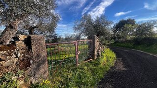 Land for sale in Idanha-a-Nova, Portugal — €12,000