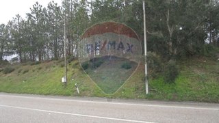 Land for sale in Chamusca, Portugal — €78,000