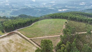 Terreno em Celorico de Basto · 15 000 m² · 59 900 €