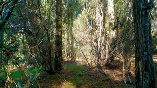 Land for sale in Sintra, Portugal — €58,000