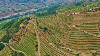 Land for sale in São João da Pesqueira, Portugal — €68,000