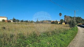 Terreno para venda em Torres Novas, Portugal — 39 500 €