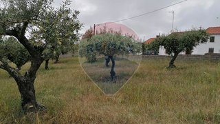 Land for sale in Vila Velha de Ródão, Portugal — €10,000
