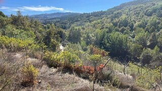 Land for sale in Baião, Portugal — €100,000