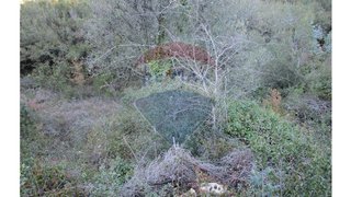 Terreno em Soure