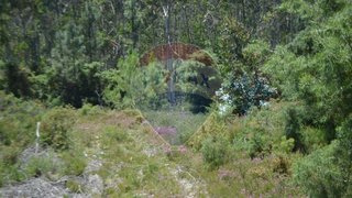 Land for sale in Paredes, Portugal — €15,000