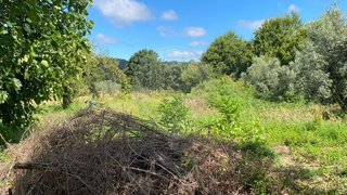 Land for sale in Góis, Portugal — €30,000