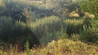 Land for sale in Silves, Portugal — €10,000
