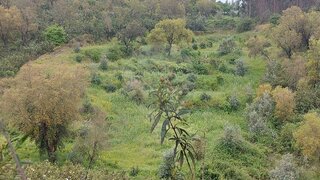 Land for sale in Abrantes, Portugal — €7,500