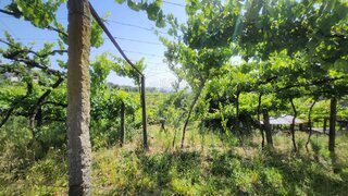 Land for sale in Amarante, Portugal — €175,000