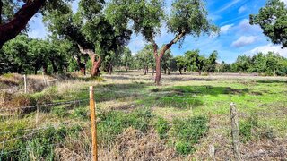 Land for sale in Ponte de Sor, Portugal — €500,000