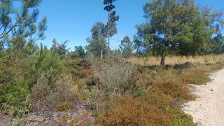 Land for sale in Sesimbra, Portugal — €90,250