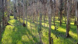 Land for sale in Cantanhede, Portugal — €5,000