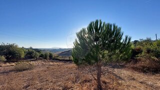 Land for sale in Rio Maior, Portugal — €29,000