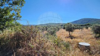 Land for sale in Penamacor, Portugal — €5,000