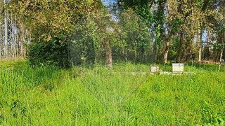 Terreno · 580 m² · 1160 €